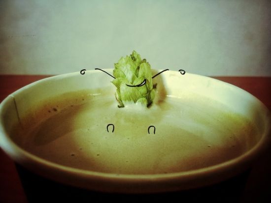 1097029_210183265771994_2020333523_o